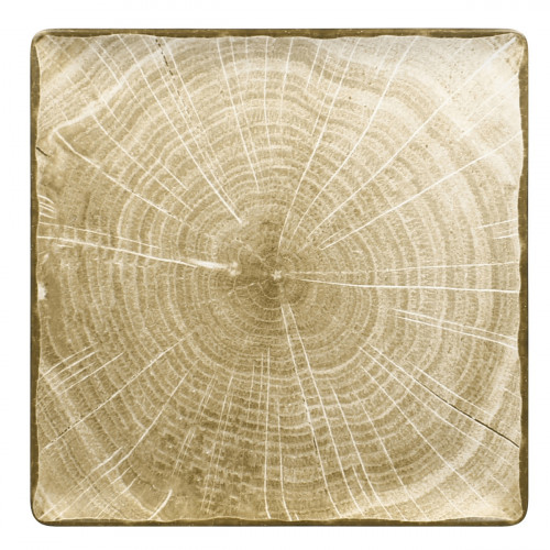 Assiette plate carré vert porcelaine vitrifiée 30,5x30,5 cm Woodart Rak