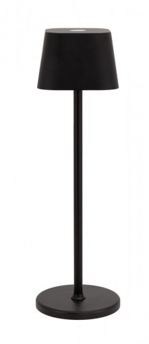 Lampe à led nomade noir Ø 11 cm 38 cm Georgiana Securit